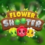 Картинка Flower Shooter